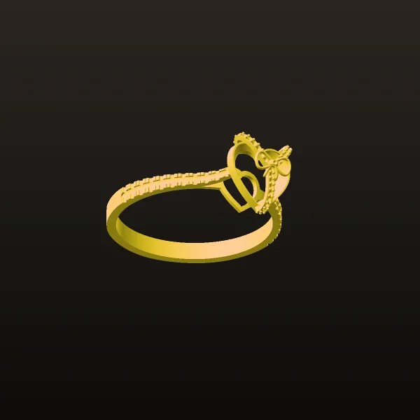 Hadih-ghlb Ring Code 01 3D Model