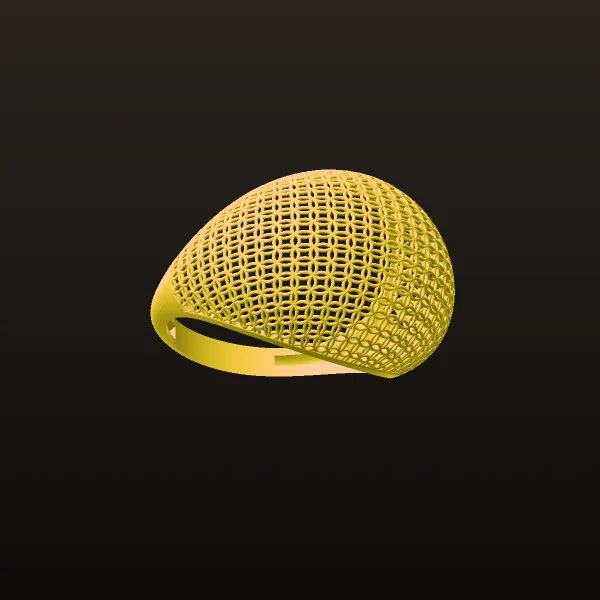 Fusion Ring F-2 3D Model