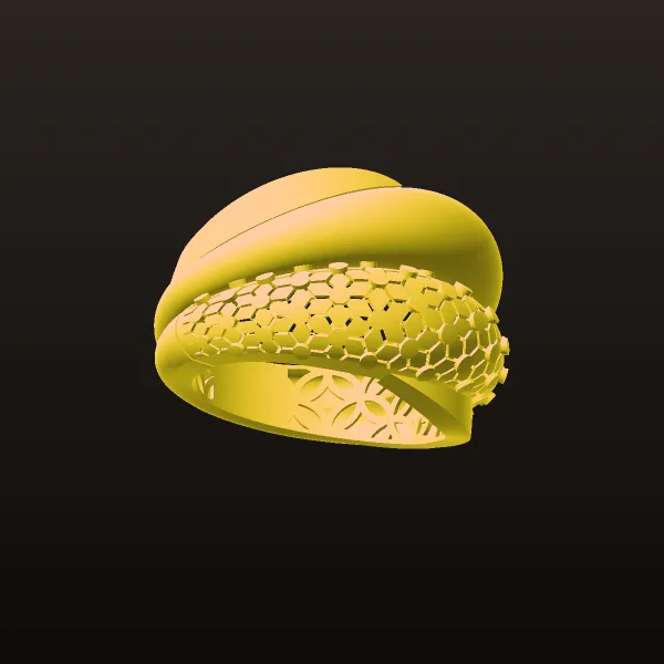 Ring MD 1 3D Model