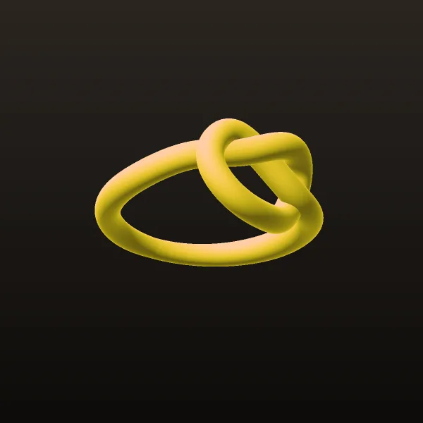 Knot Taki Ring 3D Model