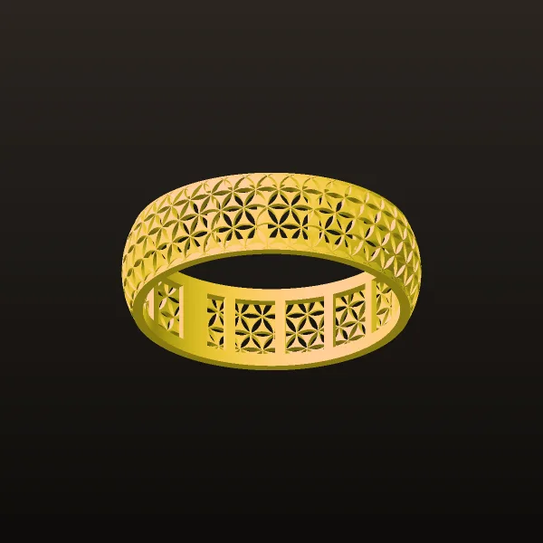 Patrn Ring Code 01 3D Model