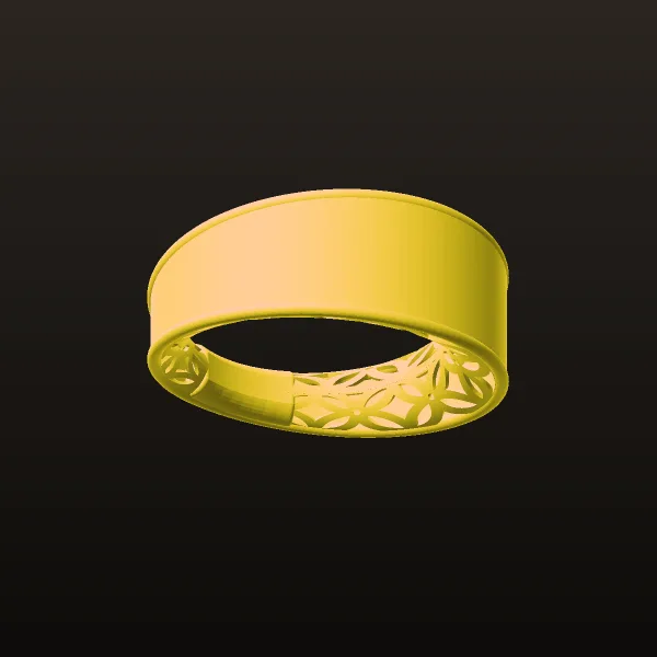 Fusion Ring Code RTR1 3D Model