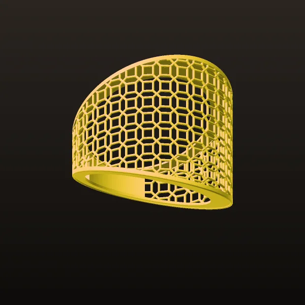 Fusion Ring Code 2 3D Model