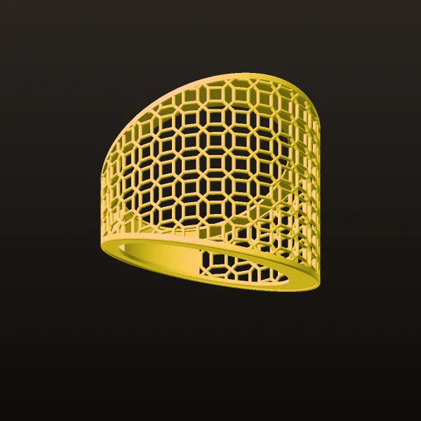 Fusion Ring Code 2 3D Model