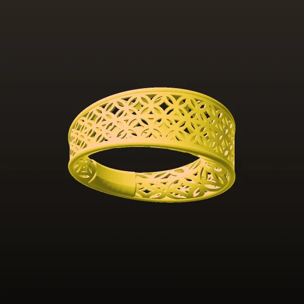 Fusion Ring Code RTR4 3D Model