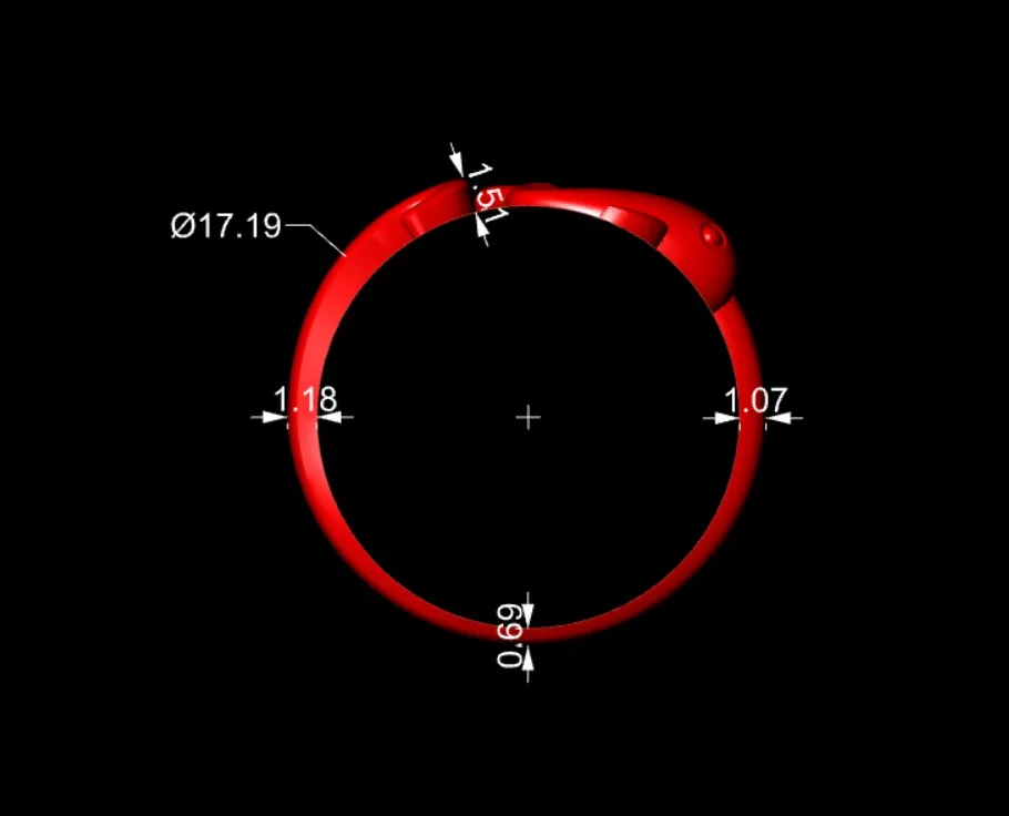 Minimal Dolphin Ring Code 03 3D Model — image 3
