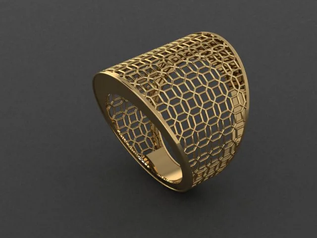 Fyvzhn Ring Code 2 3D Model — image 5