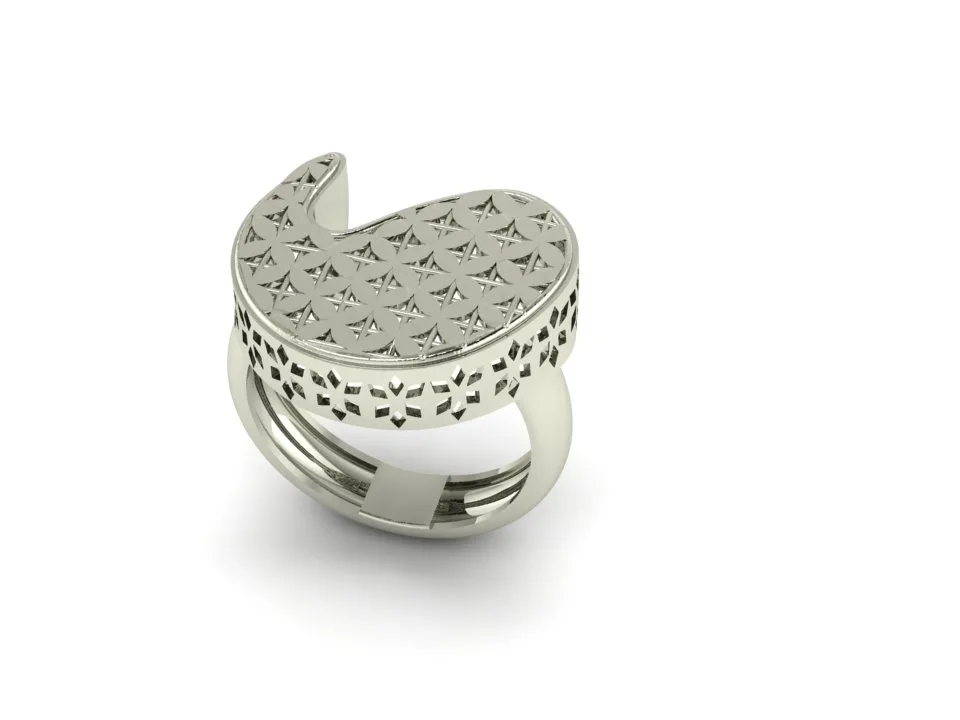 Petal Fyvzhn Val Ring 3D Model — image 4