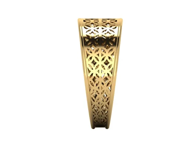 Fyvzhn Ring Code RTR4 3D Model — image 5
