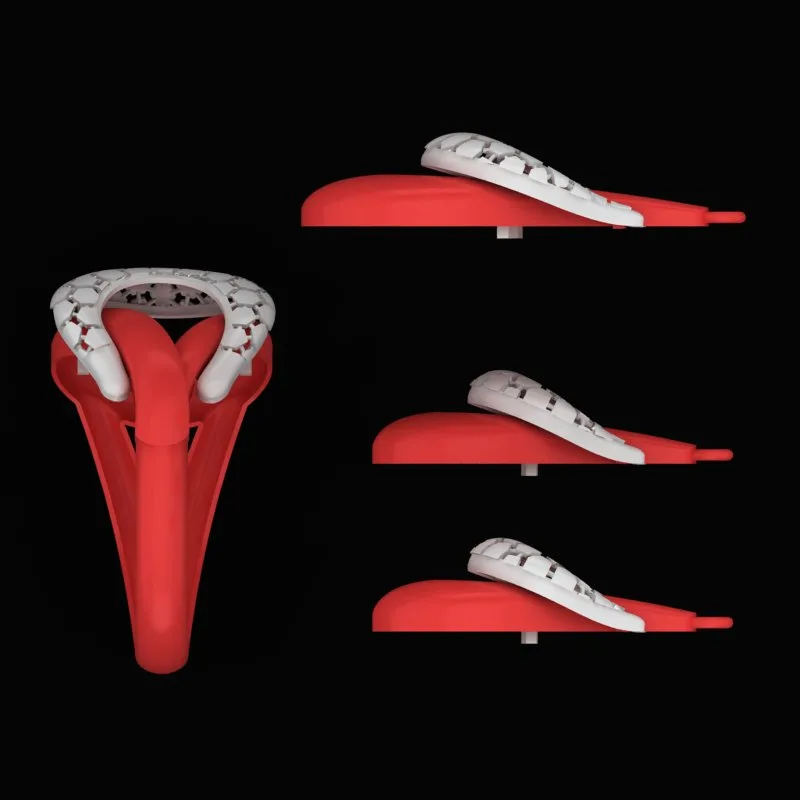 Cut Khor Half Set N-T-A-10 3D Model — image 4
