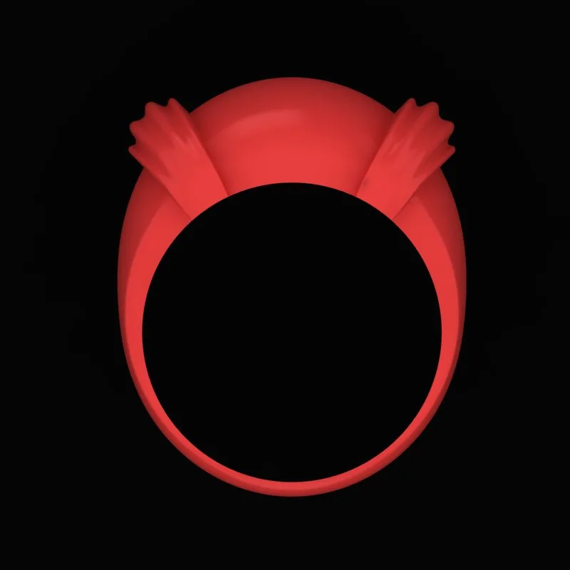 Matte Polished Ring R-M&B-01 3D Model — image 3