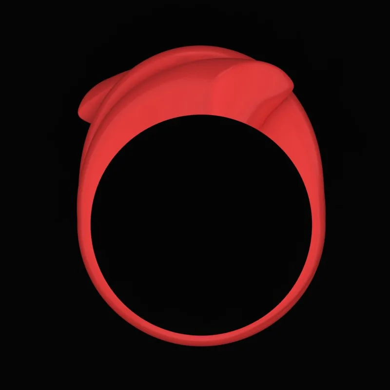 Matte Polished Ring R-M&B-04 3D Model — image 3