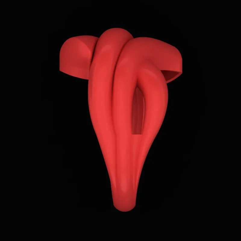 Matte Polished Ring R-M&B-04 3D Model — image 4