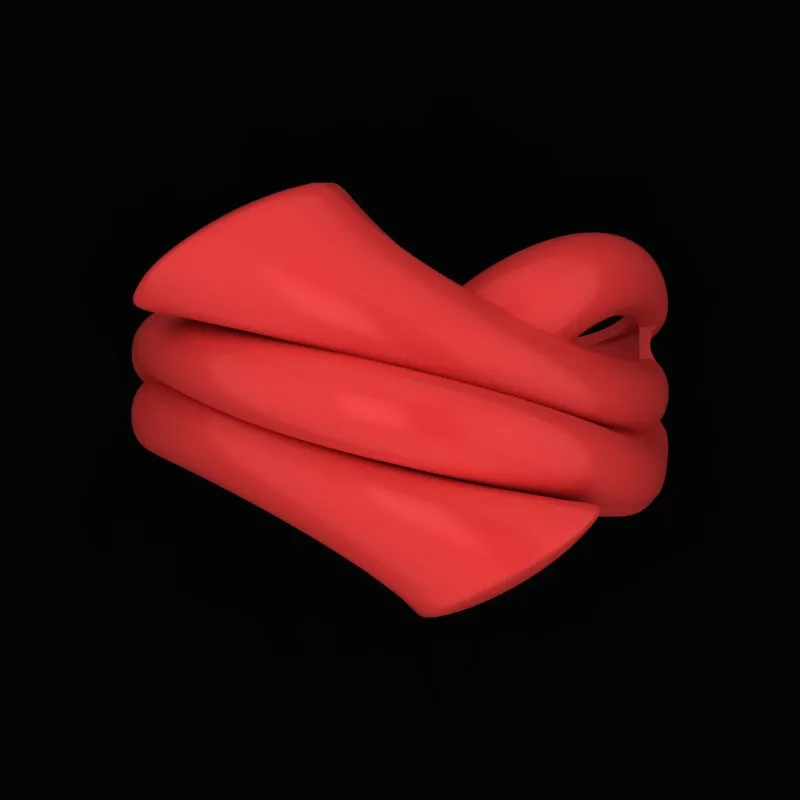 Matte Polished Ring R-M&B-04 3D Model — image 2