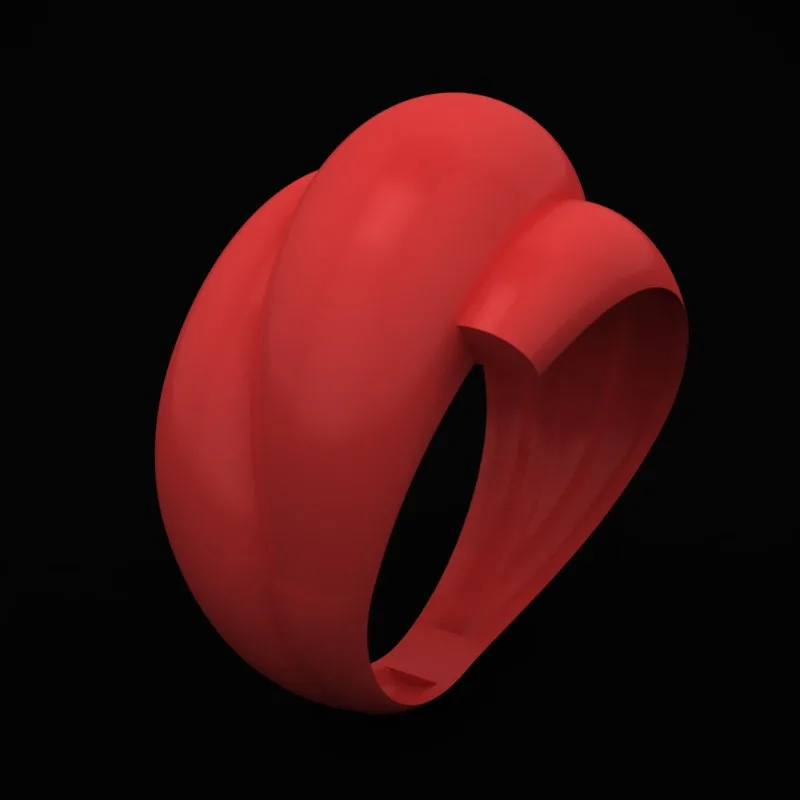 Matte Polished Ring R-M&B-05 3D Model