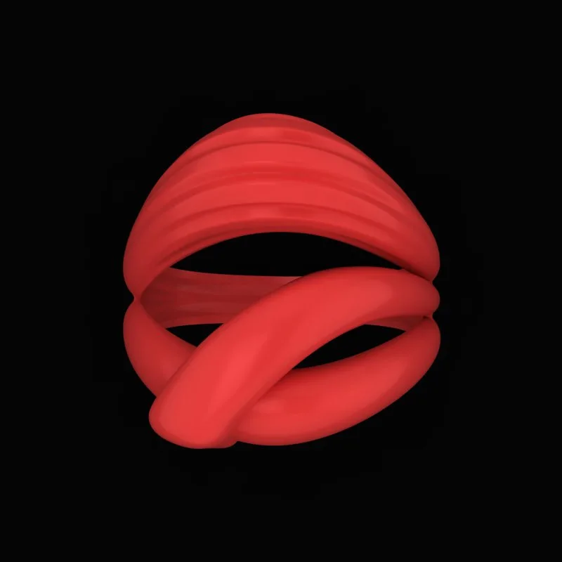 Matte Polished Ring R-M&B-08 3D Model — image 2