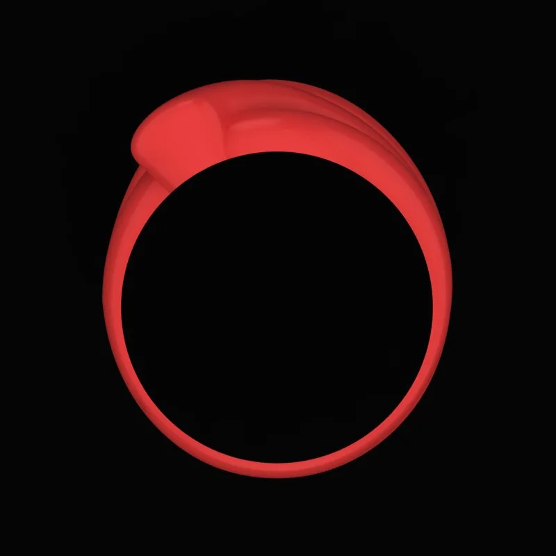 Matte Polished Ring R-M&B-08 3D Model — image 3