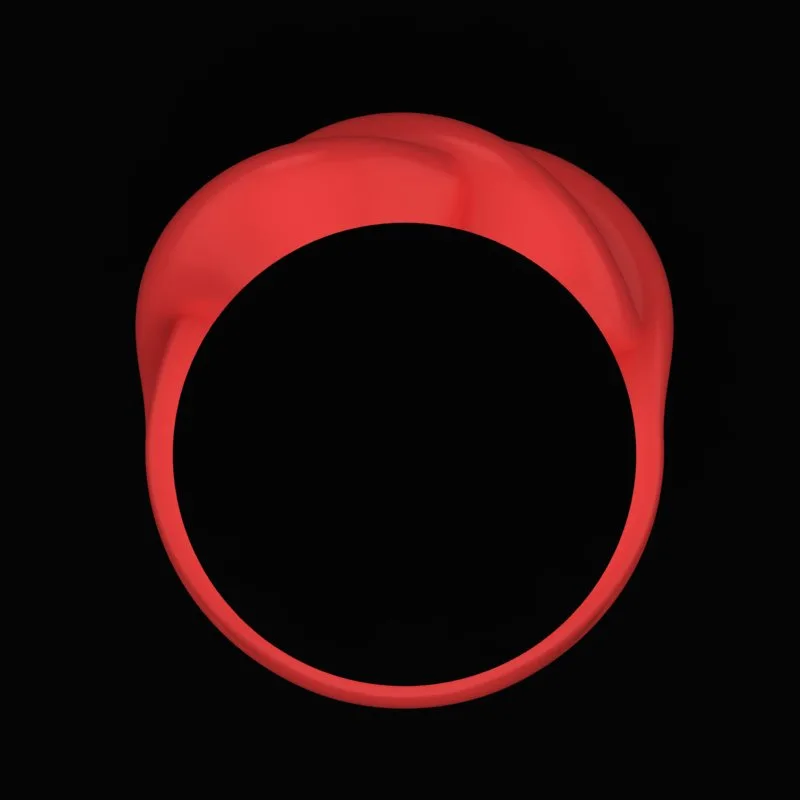 Matte Polished Ring R-M&B-09 3D Model — image 3