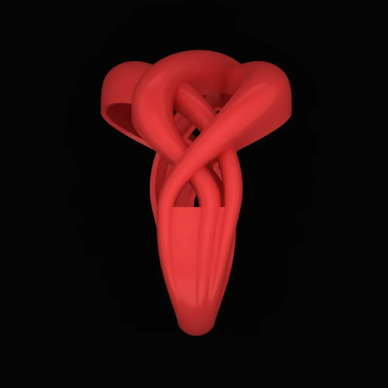 Matte Polished Ring R-M&B-09 3D Model — image 4