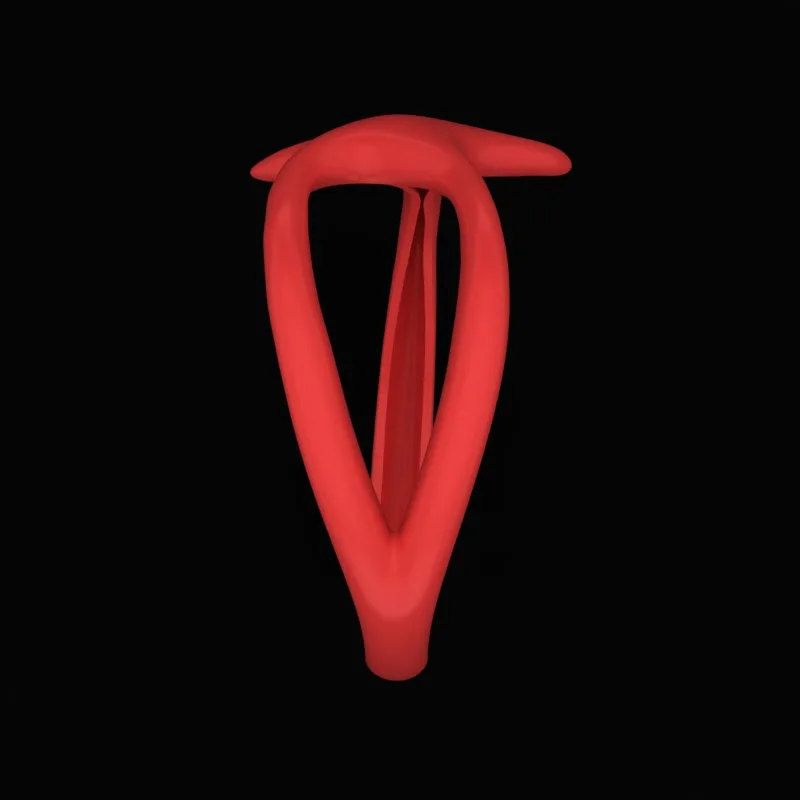 Minimal Ring R-Minimal-15 3D Model — image 4