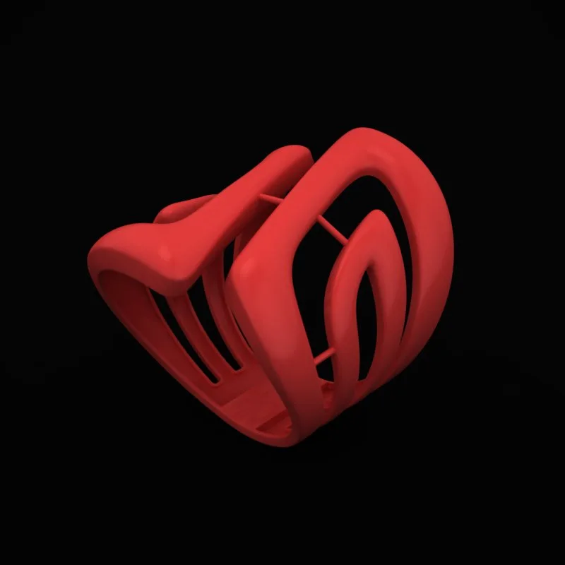 Minimal Ring R-Minimal-17 3D Model