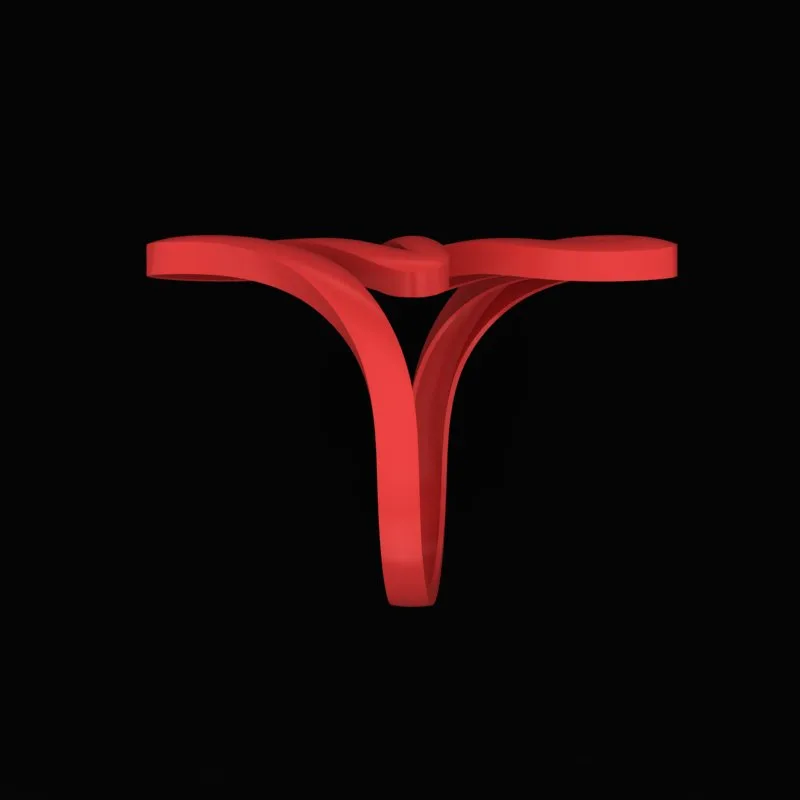 Minimal Ring R-Minimal-36 3D Model — image 4