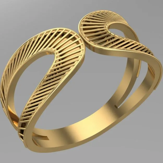 Fyvzhn Falo Ring 3D Model — image 1