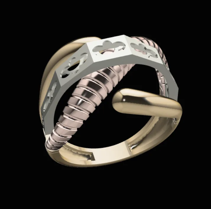 Chand Takeh Ring Code 22 3D Model — image 1