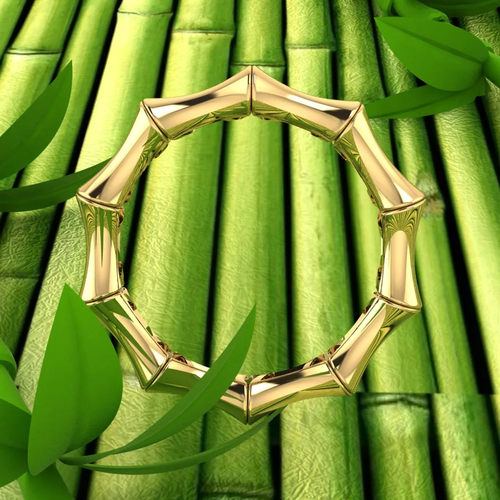 Bambo Ring 3D Model — image 4