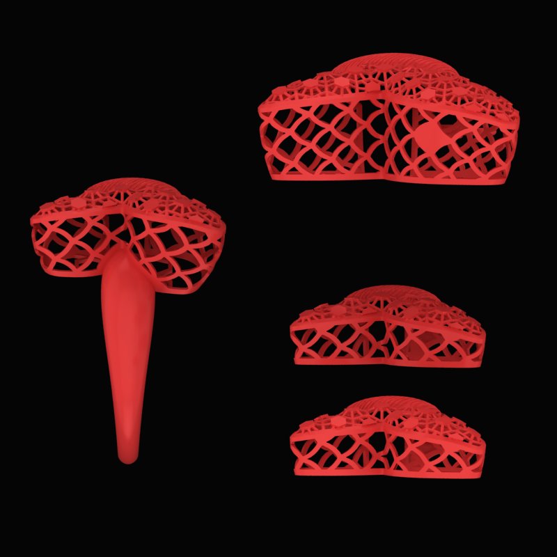 نیم ست مرجانی N-Marjani-05 نیم ست مرجانی N-Marjani-05
