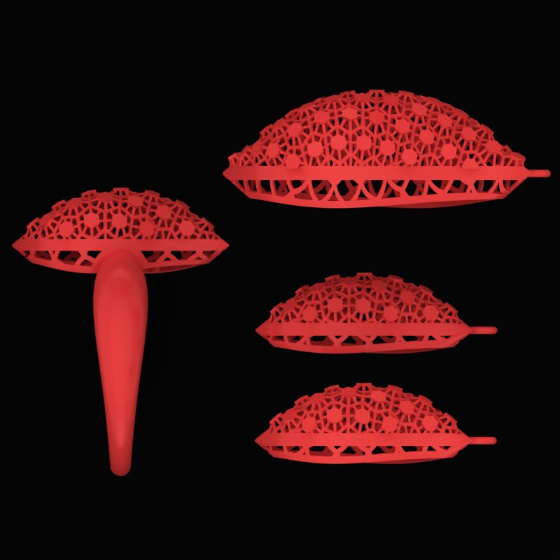 نیم ست مرجانی N-Marjani-08 نیم ست مرجانی N-Marjani-08