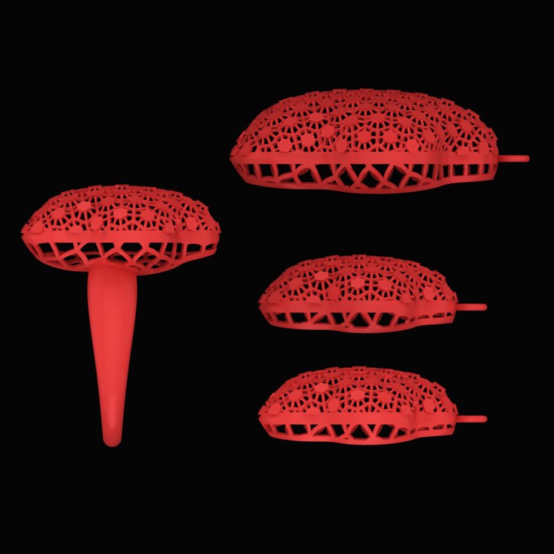 نیم ست مرجانی N-Marjani-09 نیم ست مرجانی N-Marjani-09