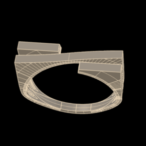 انگشتر پوست خور کد 02